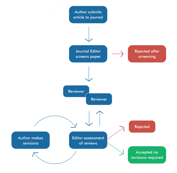 Review process at Dream Science